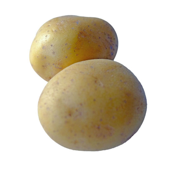 Picture of POTATIS FAST STOR SE 10KG