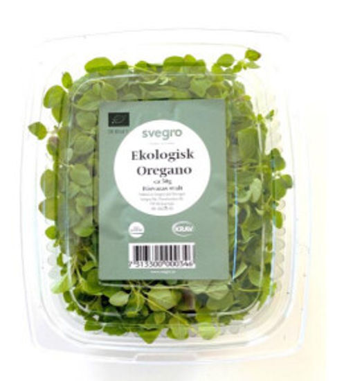 Picture of OREGANO SKUREN KRAV SE 50G