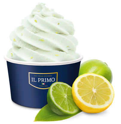 Picture of SORBET LIME/CITRON 18ST ONE SH